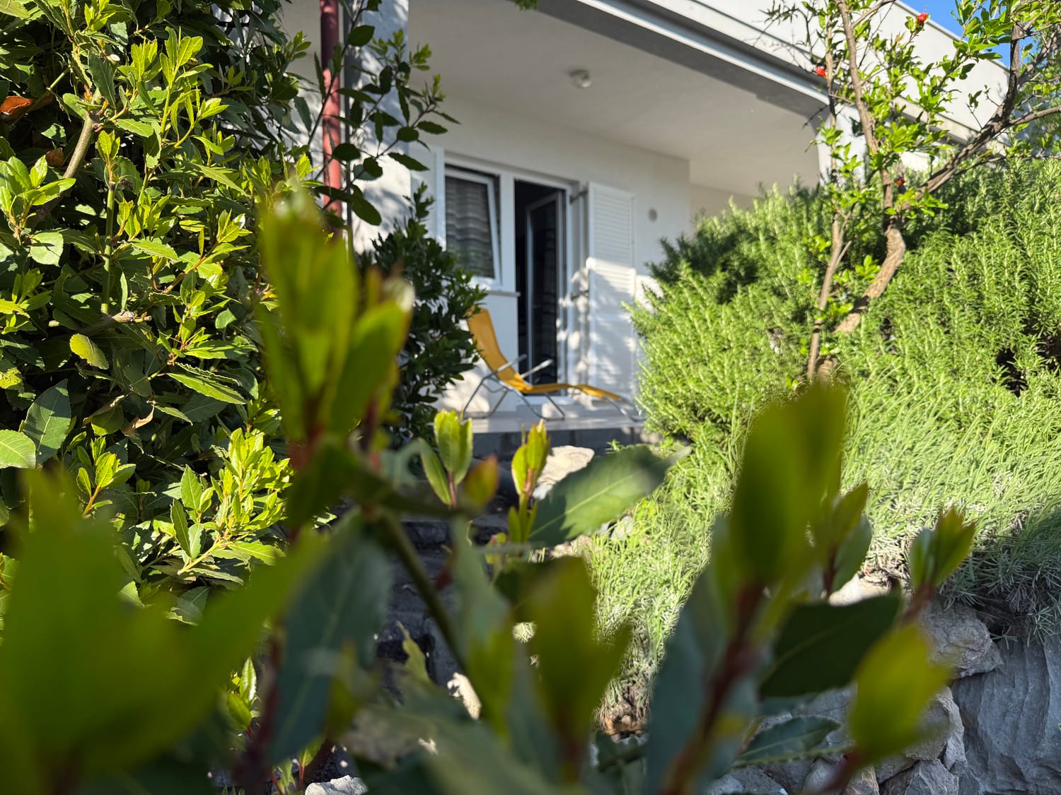 The house through the greenery of the garden