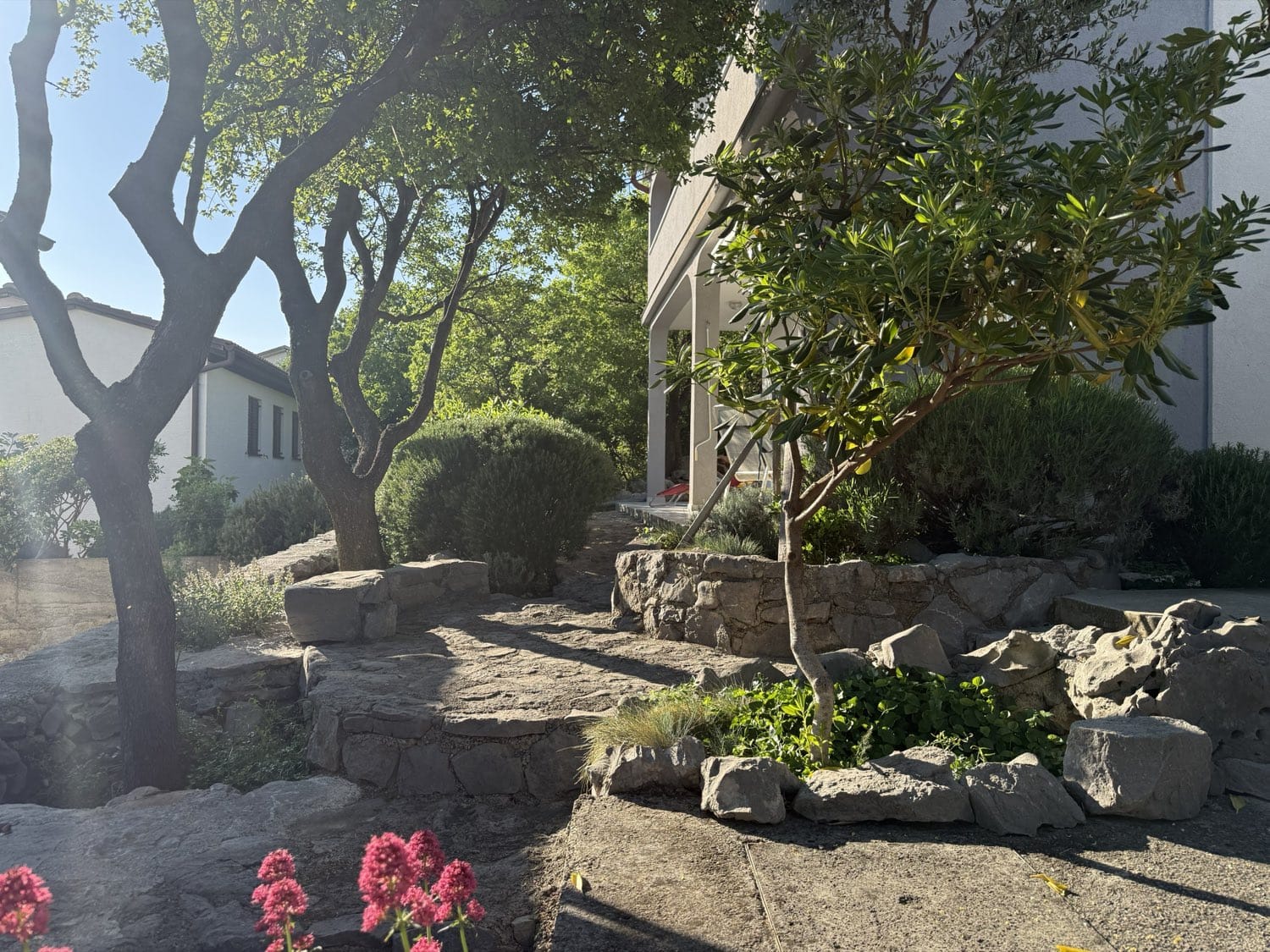 Mediterranean garden with dry-stone walls, olive trees and flowers
