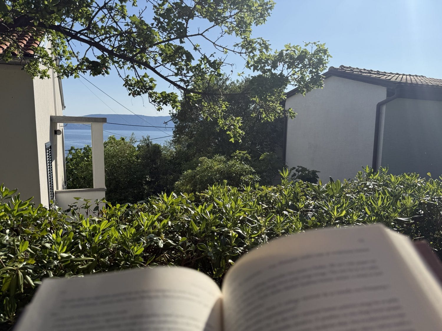 Reading on the terrace with a sea view